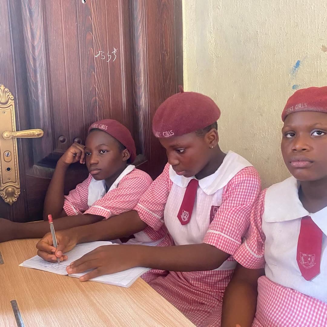 School outreach classroom activity