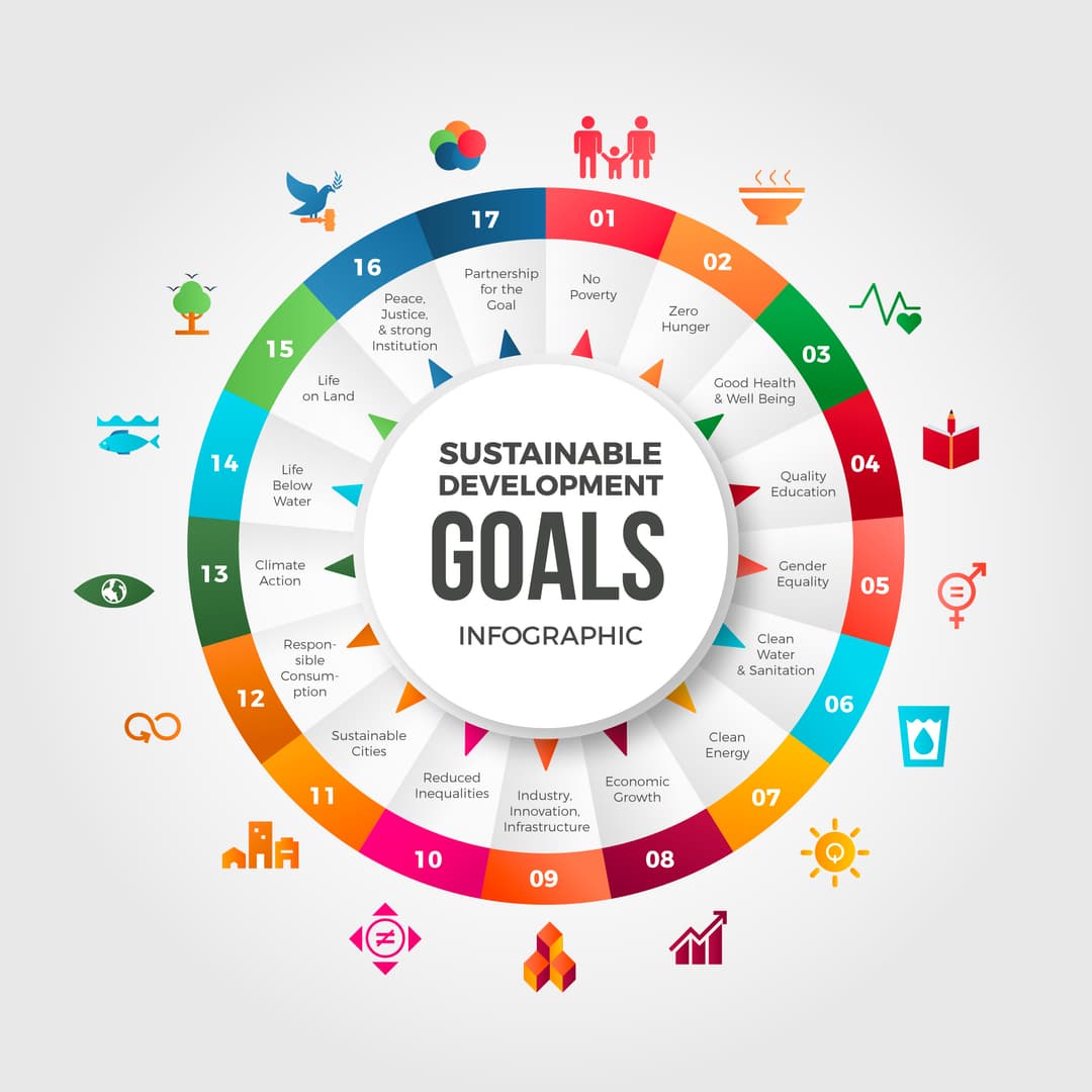United Nations Sustainable Development Goals